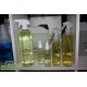 CarChem Stain Remover Odplamiacz