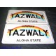 Tablica aluminiowa z Twoim napisem i zdjęciem/grafiką w tle - rozmiar USA, Polski samochodowy i motocyklowy